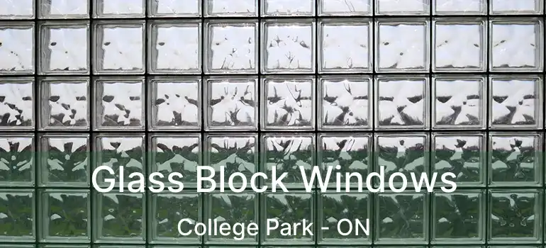  Glass Block Windows College Park - ON