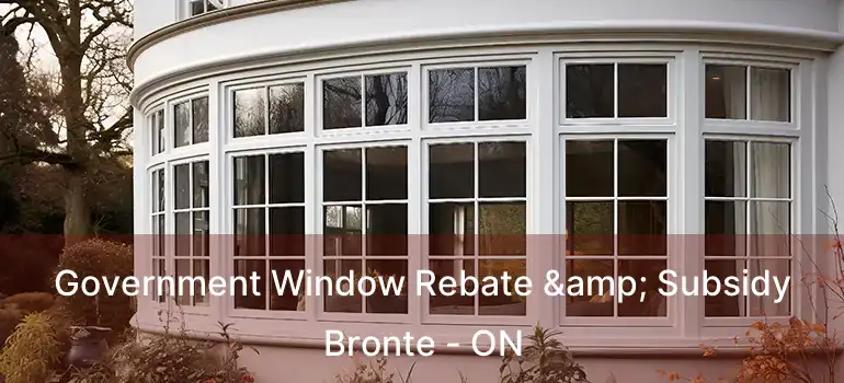  Government Window Rebate & Subsidy Bronte - ON