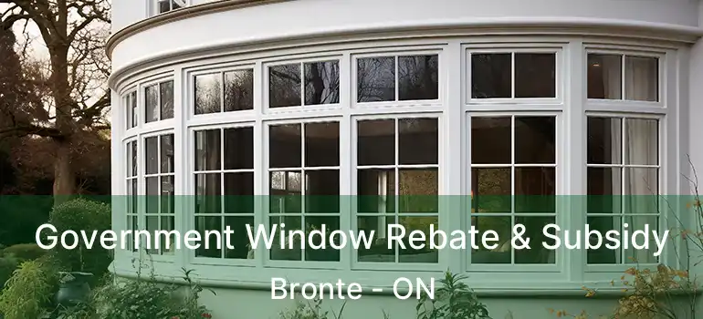  Government Window Rebate & Subsidy Bronte - ON