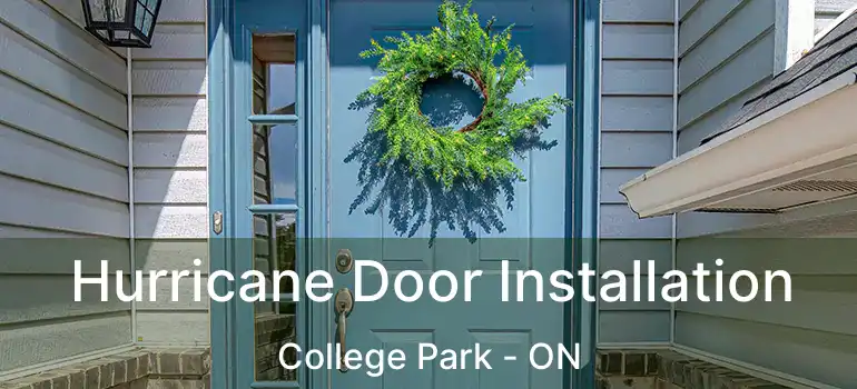  Hurricane Door Installation College Park - ON