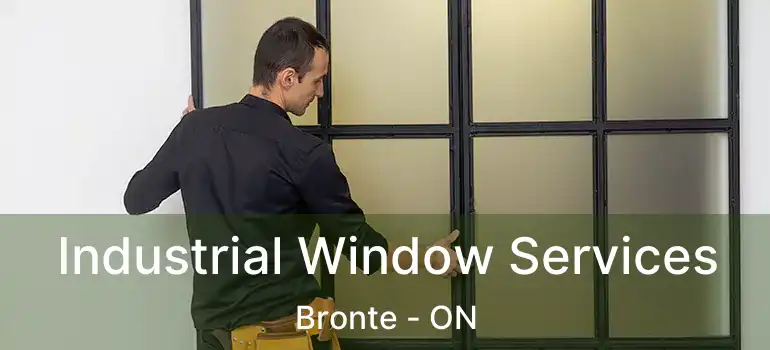  Industrial Window Services Bronte - ON