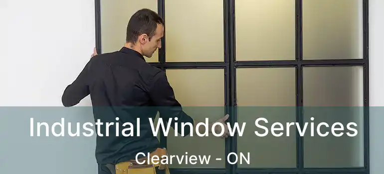  Industrial Window Services Clearview - ON