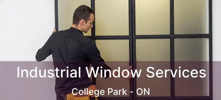  Industrial Window Services College Park - ON