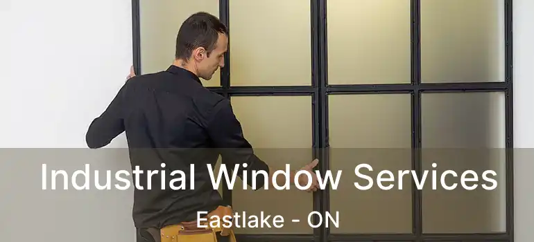  Industrial Window Services Eastlake - ON
