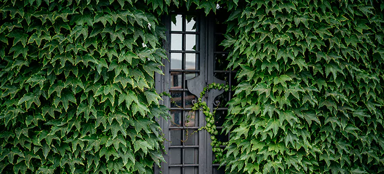 Garden Gate Repair in Uptown Core, ON