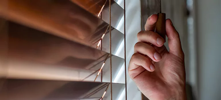 Double Roller Blinds in Oakville, Ontario