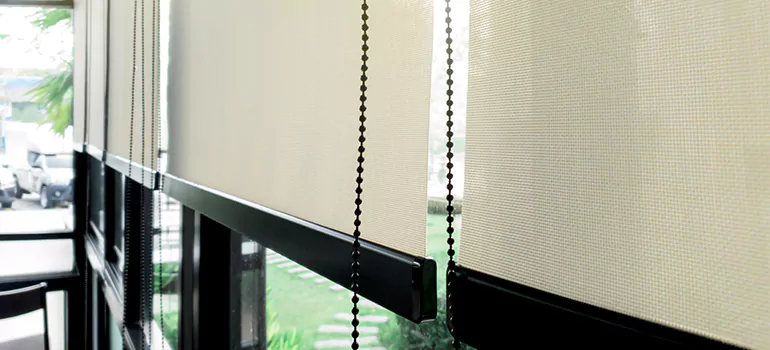 Blackout Window Shades in Oakville, Ontario