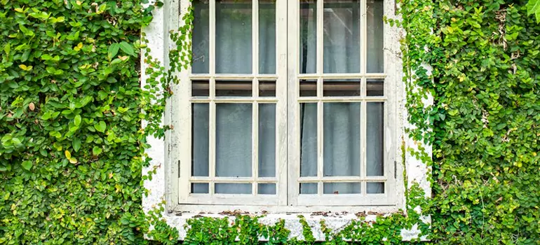 arden Window Repair Near Me in Oakville, ON