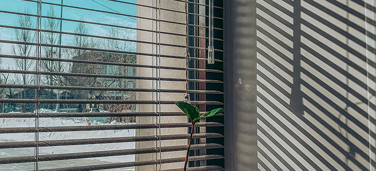 Commercial Window Blinds in Oakville, ON