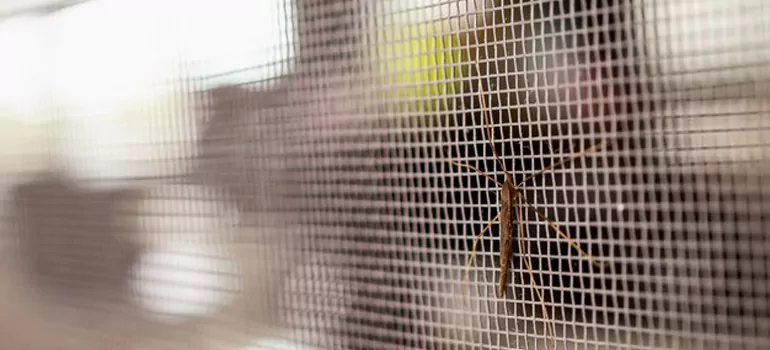 Repair Mosquito Mesh For Windows in Oakville, Ontario