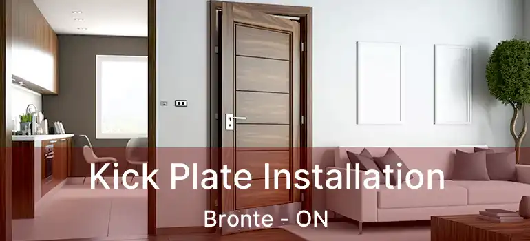  Kick Plate Installation Bronte - ON