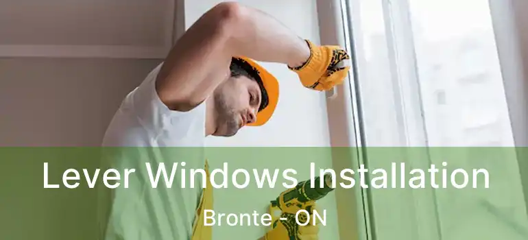  Lever Windows Installation Bronte - ON