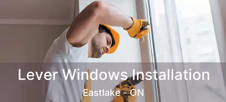  Lever Windows Installation Eastlake - ON