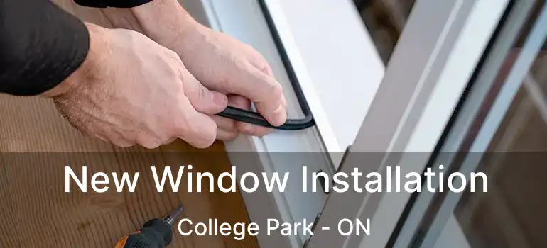  New Window Installation College Park - ON