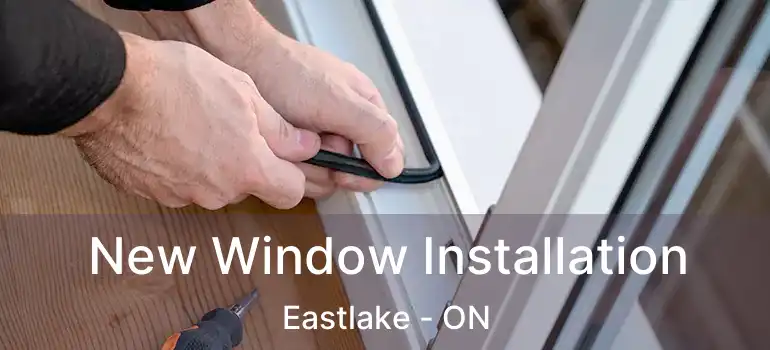  New Window Installation Eastlake - ON