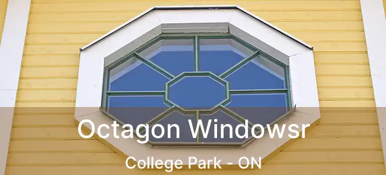  Octagon Windowsr College Park - ON