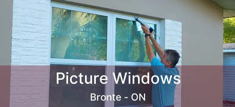  Picture Windows Bronte - ON