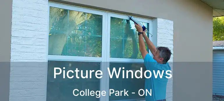  Picture Windows College Park - ON