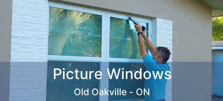  Picture Windows Old Oakville - ON