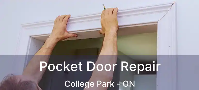  Pocket Door Repair College Park - ON