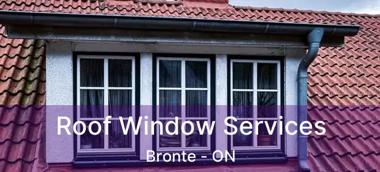  Roof Window Services Bronte - ON
