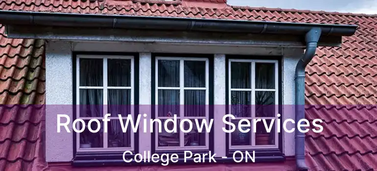  Roof Window Services College Park - ON