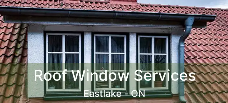  Roof Window Services Eastlake - ON