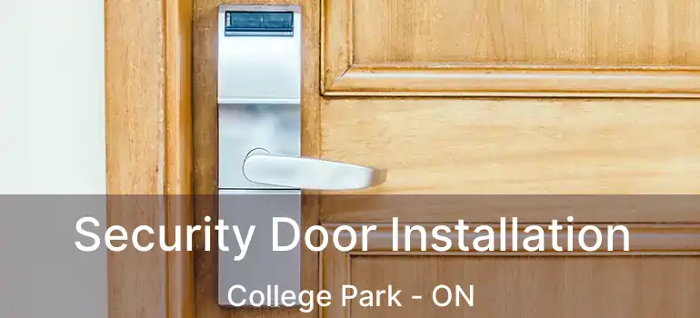  Security Door Installation College Park - ON