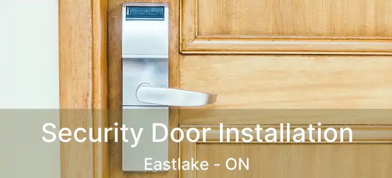  Security Door Installation Eastlake - ON