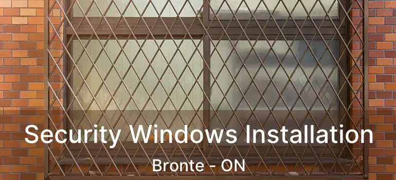  Security Windows Installation Bronte - ON