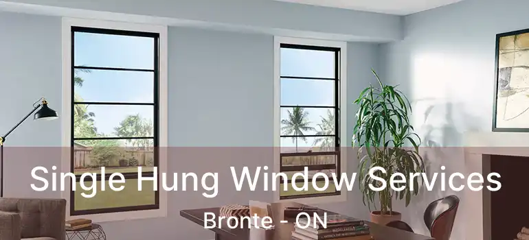  Single Hung Window Services Bronte - ON