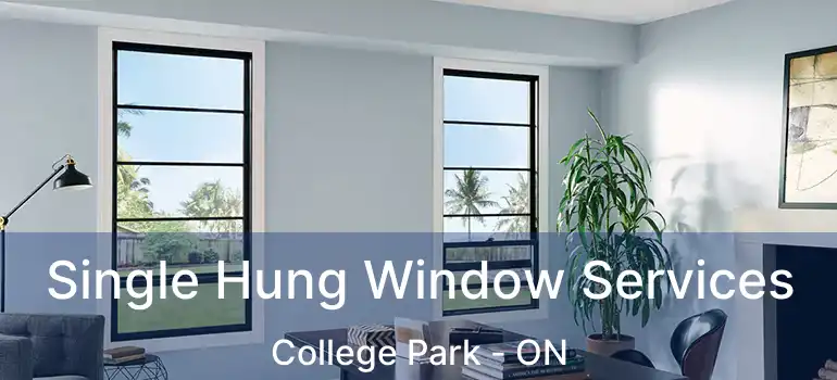  Single Hung Window Services College Park - ON
