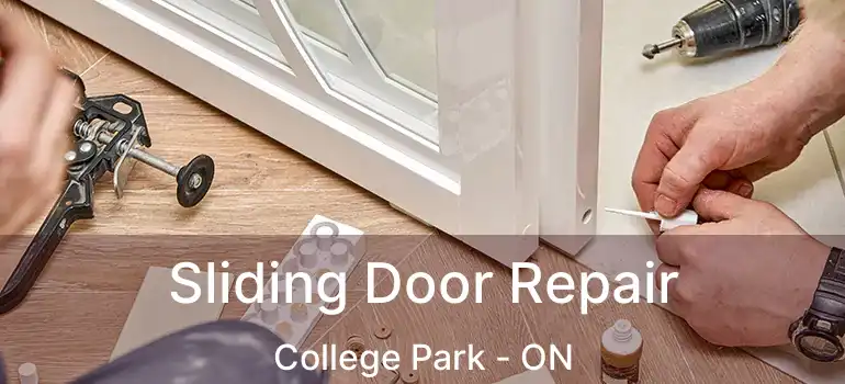  Sliding Door Repair College Park - ON