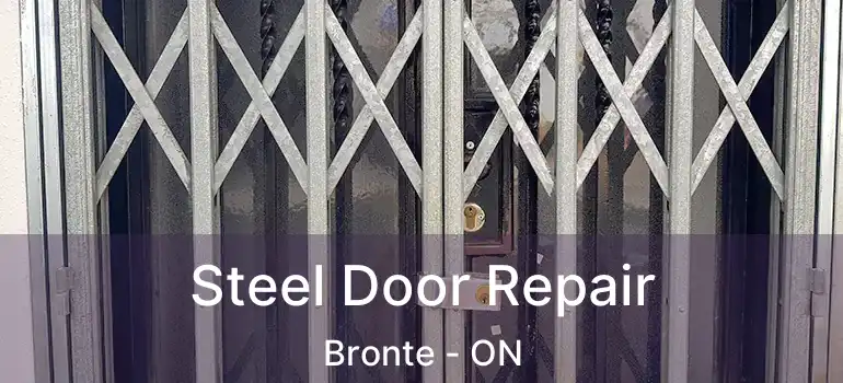  Steel Door Repair Bronte - ON