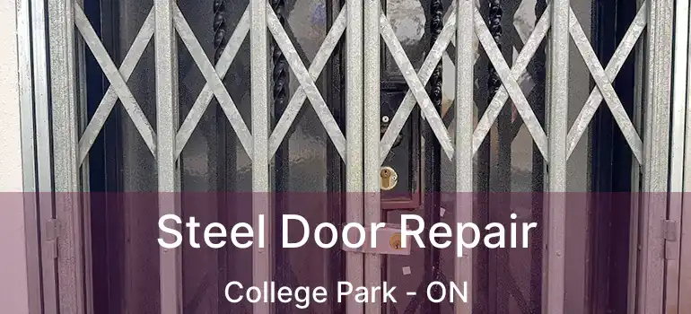  Steel Door Repair College Park - ON