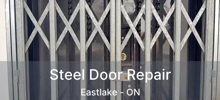 Steel Door Repair Eastlake - ON