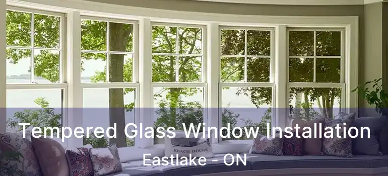  Tempered Glass Window Installation Eastlake - ON