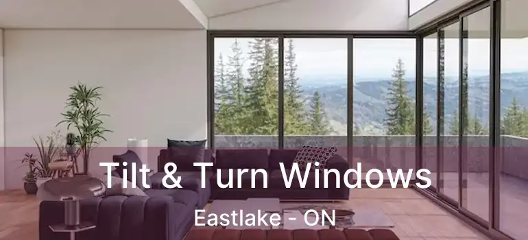  Tilt & Turn Windows Eastlake - ON