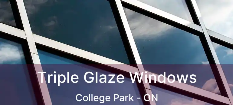  Triple Glaze Windows College Park - ON