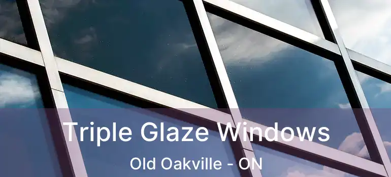  Triple Glaze Windows Old Oakville - ON