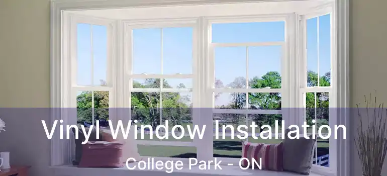  Vinyl Window Installation College Park - ON