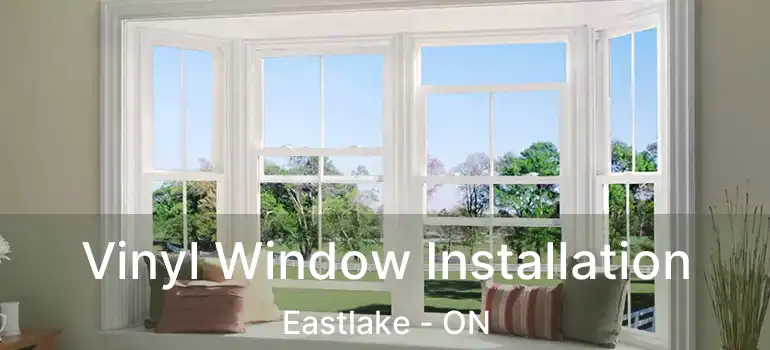  Vinyl Window Installation Eastlake - ON