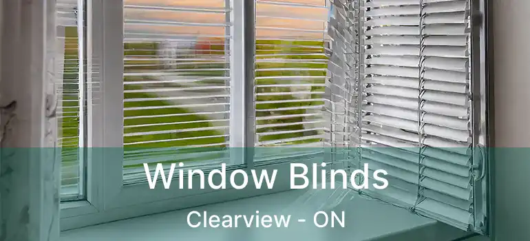  Window Blinds Clearview - ON