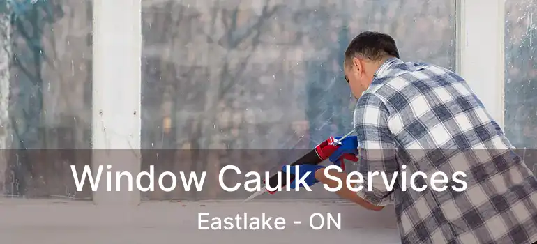  Window Caulk Services Eastlake - ON