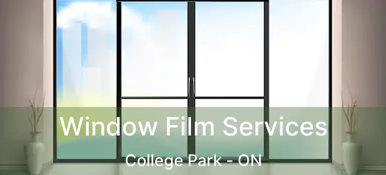  Window Film Services College Park - ON