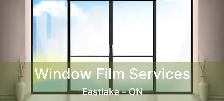  Window Film Services Eastlake - ON