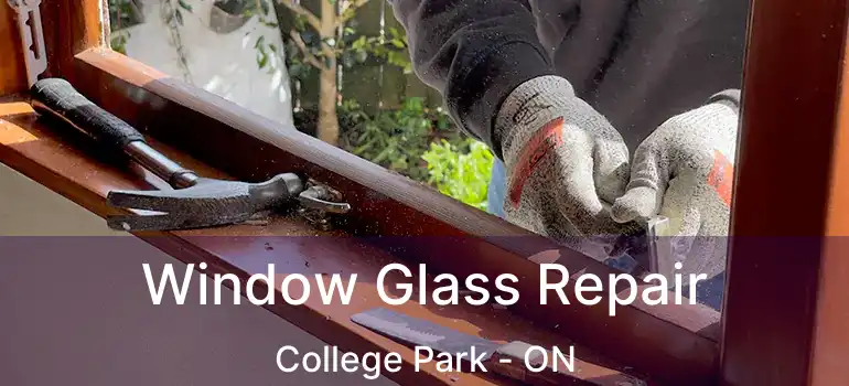  Window Glass Repair College Park - ON