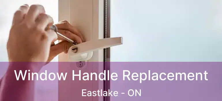  Window Handle Replacement Eastlake - ON