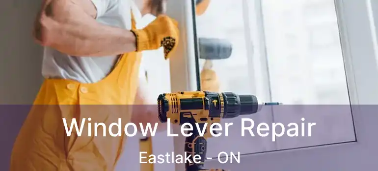  Window Lever Repair Eastlake - ON