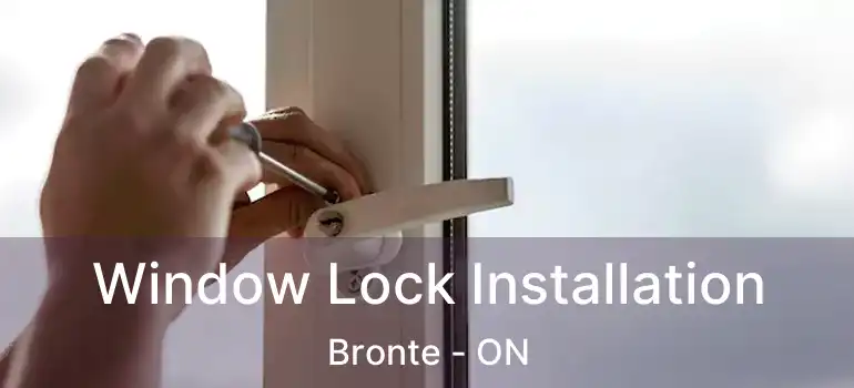 Window Lock Installation Bronte - ON